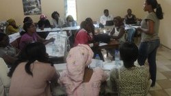 Etude d'évaluation de la pratique du "repassage des seins" au Cameroun : 2013
