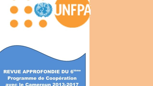 REVUE APPROFONDIE DU 6ième Programme de Coopération avec le Cameroun 2013-2017
